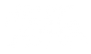 Night Motor